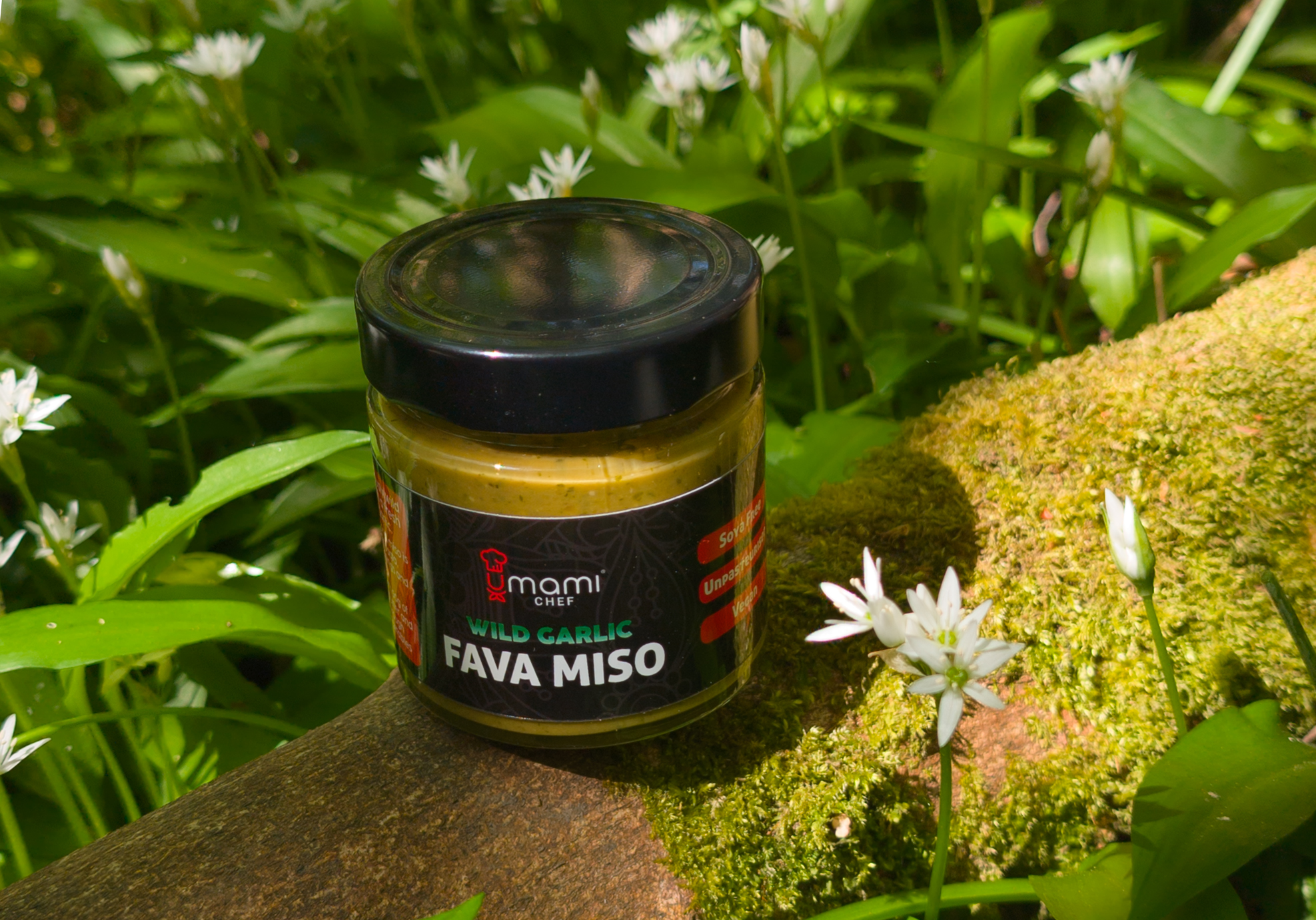 Jar of wild garlic miso surrounded by the wild garlic used to create it
